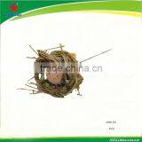 Easter Bird Nest Picks Decoration thumbnail-1