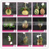 Latest High Quality Holiday Decorations Christmas Decoration thumbnail-6