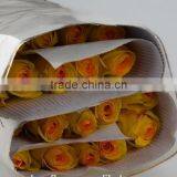 Promotional Ecuador Rose Yunnan Fresh Cut Roses Flowers Black Rose Bushes for Sale thumbnail-6