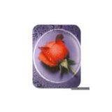 Sell 1.56 Progressive Photochromic Lens thumbnail-1