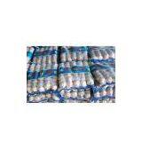 Supply Pure White Garlic(2008 New Crop)