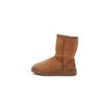 Brand New UGG Women's Classic Short boots, 5825,chestnut,size 8
