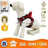 OEM&ODM Polyester Western My Pet Dog Harness Padded thumbnail-6