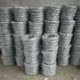 Barbed Wire thumbnail-2