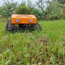 Track Mower, China Remote Control Brush Mower Price, Remote Control Brush Cutter for Sale thumbnail-3