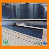 High Quality Marine Plywood for Concrete Formwork, Construction Formwork Plywood thumbnail-2