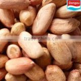 peanuts kernel long type 24/28