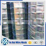 1/2 Inch Green Pvc Coated Welded Wire Mesh thumbnail-3