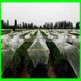 Yemen Selvage Anti Hail Net /100% Virgin HDPE Knitted Anti Hail Net thumbnail-2