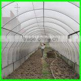 100% HDPE Anti Insect Netting thumbnail-3