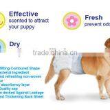 High Absorption Pet Diapers in Competitive Price Good Quality thumbnail-4
