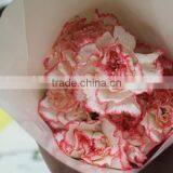 Elegant in Smell Top Sell Wedding Decorating Flower Carnation thumbnail-1