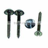 Competitive Mirror Type Screw Steel Head Nails(SW-096)