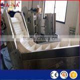 Food Industry Conveyor From China Manufacturer thumbnail-2