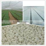 Agricultural Greenhouse Film Anti Ageing and Anti Fogging Antioxidant Masterbatch thumbnail-1
