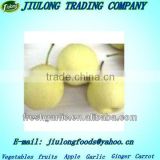 Chinese Fresh fruit ya pear get latest price