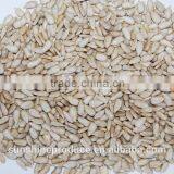 Organic SUNFLOWERS KERNELS/INSHELL, Confectionery/Bakery Grade thumbnail-3