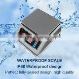 LFW IP68 Level Waterproof Fish Scale thumbnail-1