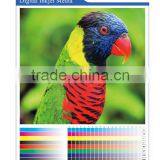 Eco-solvent PET Banner Film Gray Back