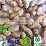 ROASTED PEANUT IN SHELL 9/11 NATURE FLAVOR thumbnail-4