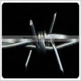 Barbed Wire