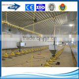 Cheap Prefabricated Poultry House in Algeria thumbnail-2