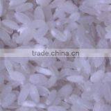China Supplier Manufacture Best-Selling Nutrition Rice Extruder thumbnail-3