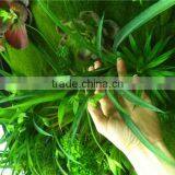 Home and Outdoor Garden Edging Christmas Decoration 60cm or 24inches Height Artificial Small Grass for Green Wall E04 1053 thumbnail-6