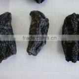 Sea Cucumber , Hokkaido , Japan , High Quality thumbnail-1