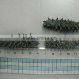 Price of Dried Sea Cucumber for Chinese Foods , Paid Sample Also Available thumbnail-3