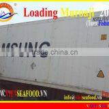 LOADING MUROAJI FOR TUNA BAIT thumbnail-1