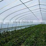 Agriculture Tunnel Vegetables PE Polytunnel Greenhouse for Sale thumbnail-1
