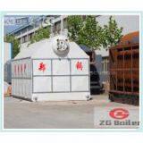 DZL Packaged Chain Grate Boiler in Paper Making Factory thumbnail-1
