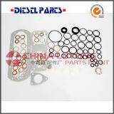 Bosch Injection Pump Rebuild Kit 800640,diesel Engine Rebuild Kits thumbnail-1
