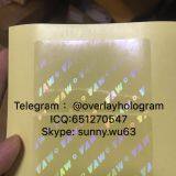 Georgia/Michigan/Illinois/Mississippi/Missouri id State Overlay Hologram thumbnail-1