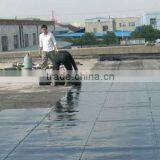High Quality Cheap Price Chensheng Brand SBS Modified Bitumen Waterproof Membrane Supplier thumbnail-4