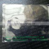 Plastic Clear Ticket Holder