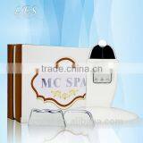 Bio Micro Current Facial Massager With 3 Optional Treatment Heads thumbnail-2