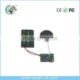 Recordable Sound Module For Greeting Card/ Sound Chip For Promotion thumbnail-6