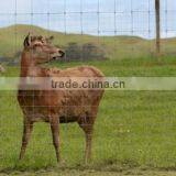 Re-used Deer Plastic Fence Products is Very Popular thumbnail-3