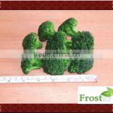 IQF Broccoli