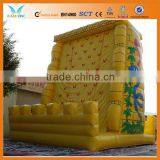 Indoor Rock Climbing Wall for Commercial