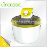 Fruit Ice Cream Maker