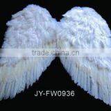 Wing