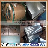 galvanized steel sheet coil/ prime hot dipped galvanized steel coil price