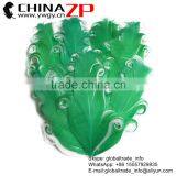 Leading Supplier ZPDECOR Great Wonderful Dyed Green With White Curled Goose Feathers Plumage Pad Craft for Hair Accessories thumbnail-1