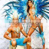 CHINAZP Exporting Wholesale Top Quality Large Natural Beautiful Lady Amherst Pheasant Tail Feathers for DIY thumbnail-6