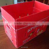 Corrugated PP Apple Packing Case Fruit Storage Carton Packaging Box