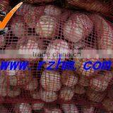 New Crop High Quality Fresh Garlic Directly Supply thumbnail-4
