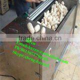 Vegetable and Fruit Washing Machine/home Vegetable Washing Machine/vegetable Washing Machine thumbnail-3